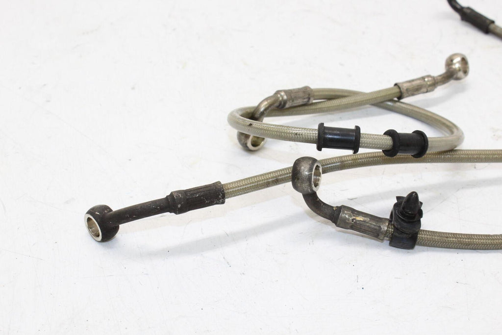 06-08 Triumph Daytona 675 Front Brake Caliper Hoses Lines Oem - Gold River Motorsports