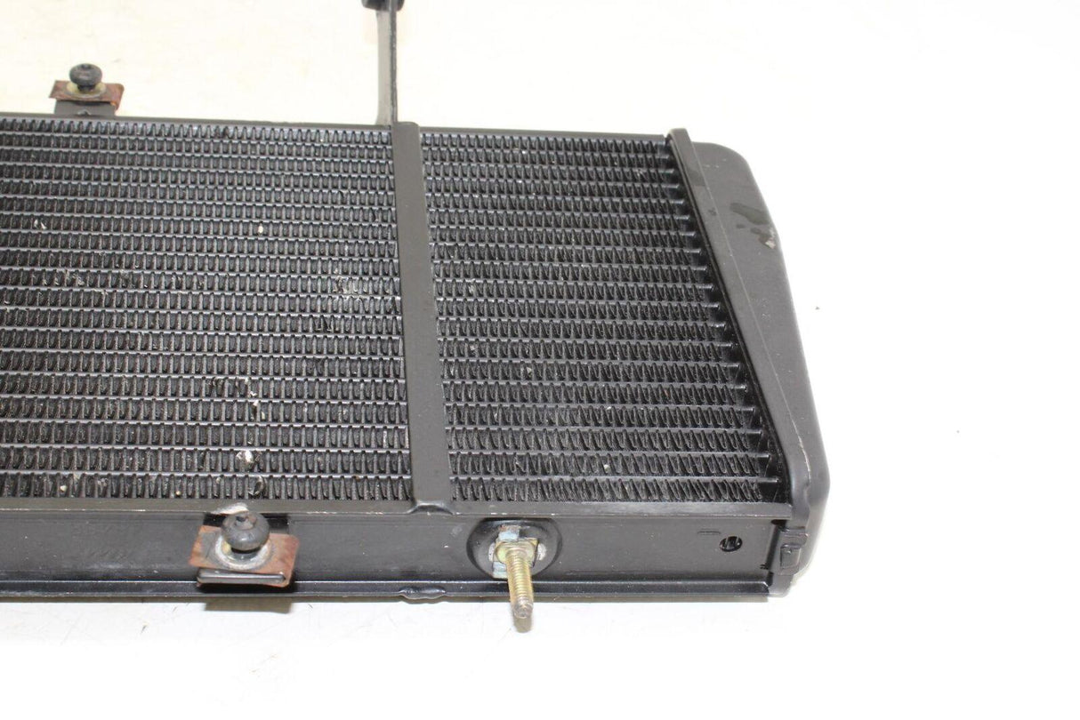 05-07 Triumph Sprint St Engine Radiator Motor Cooler Cooling Radiater Oem - Gold River Motorsports