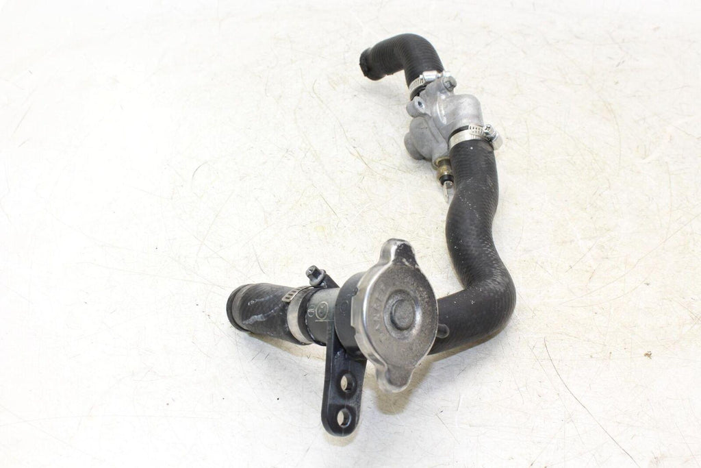 2004 Kawasaki Ninja 250r Ex250f Thermostat W/Cap Oem - Gold River Motorsports