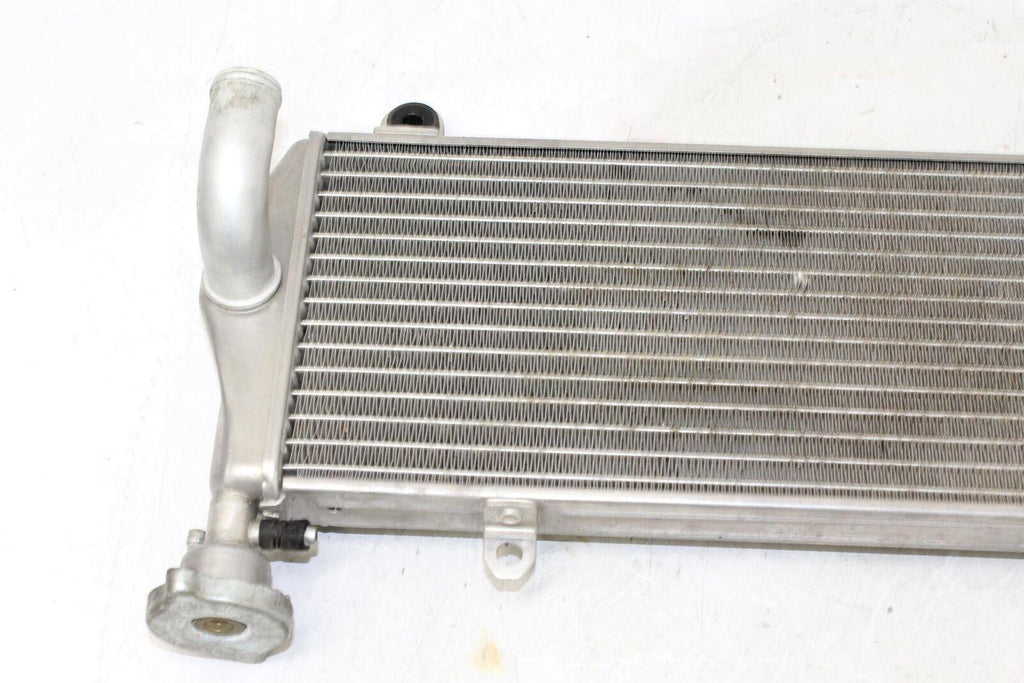 2012 Ducati 1199 Panigale S Tricolore Engine Radiator Motor Cooler Cooling - Gold River Motorsports