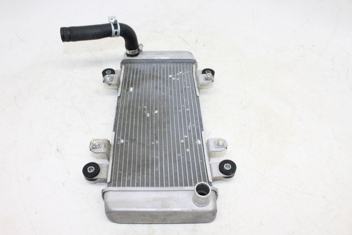 2013-2016 Kawasaki Ninja 300 Ex300a Engine Radiator Motor Cooler Cooling Radiate - Gold River Motorsports