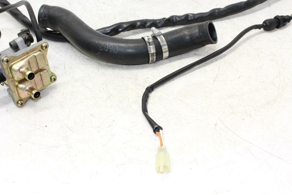 99-02 Suzuki Sv650 Brake Hoses , Pipes , Sensor Oem - Gold River Motorsports