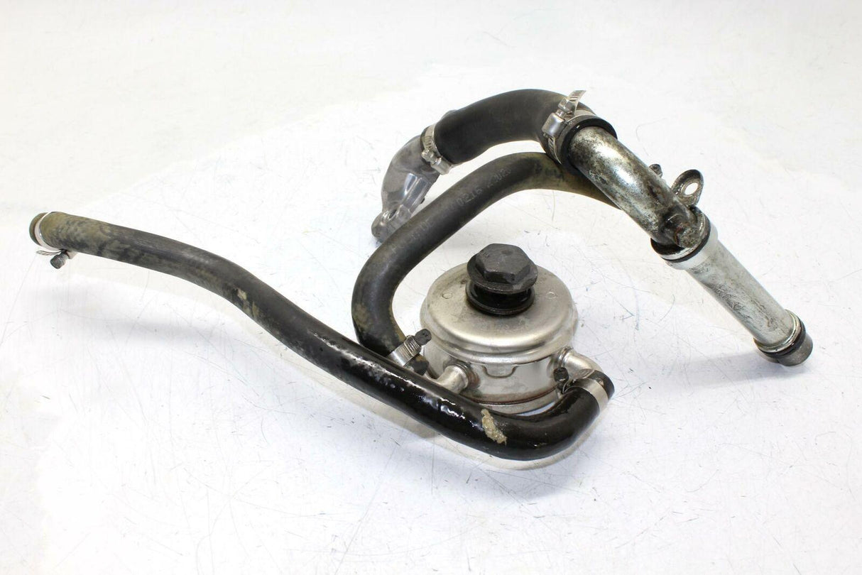 06-08 Triumph Daytona 675 Engine Motor Oil Cooler Oem - Gold River Motorsports