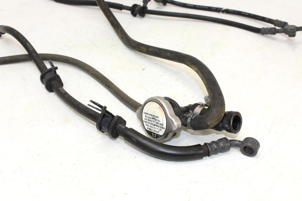 2008 Honda Cbr1000rr Rear Back Brake Hose Fluid Line - Gold River Motorsports