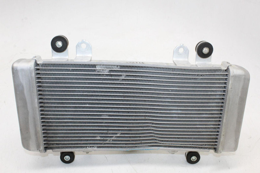 13-17 Kawasaki Ninja 300 Engine Radiator Motor Cooler Cooling Radiater Oem - Gold River Motorsports