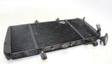 05-07 Triumph Sprint St Engine Radiator Motor Cooler Cooling Radiater Oem - Gold River Motorsports