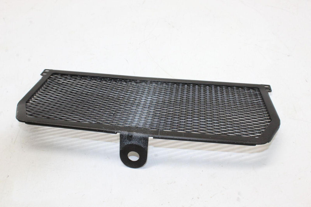 2015-2018 Bmw S1000r Oil Cooler Grill Guard Oem - Gold River Motorsports