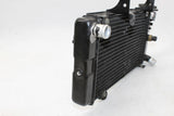 2005 Suzuki Vstrom 1000 Dl1000 Engine Radiator Motor Cooler Cooling Radiater Oem - Gold River Motorsports