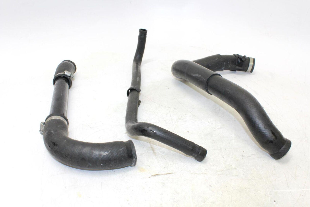 2002 Kawasaki Ninja Zx12r Zx1200b Hoses - Gold River Motorsports