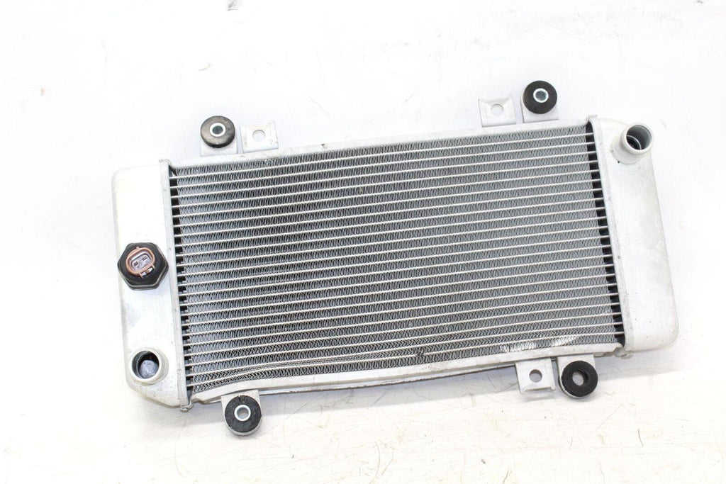 08-11 Kawasaki Ninja 250r Ex250j Engine Radiator Motor Cooler Cooling Radiater - Gold River Motorsports