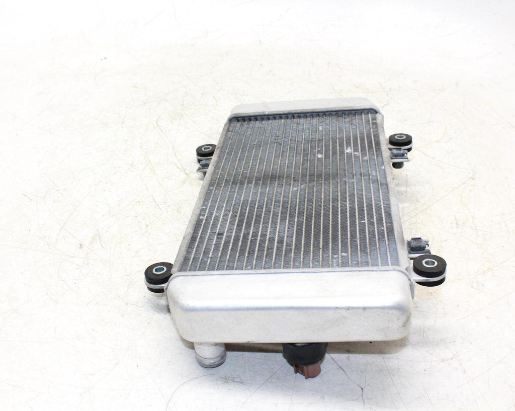 08-12 Kawasaki Ninja 250r Ex250j Engine Radiator Motor Cooler Cooling Radiater - Gold River Motorsports