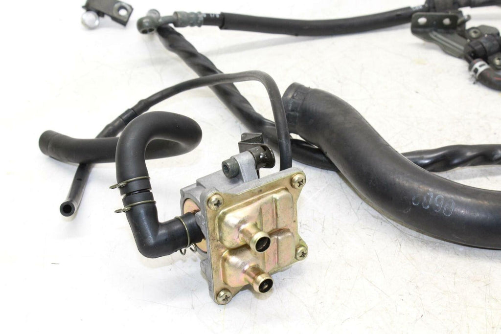 99-02 Suzuki Sv650 Brake Hoses , Pipes , Sensor Oem - Gold River Motorsports