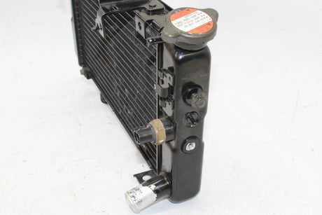 2005 Suzuki Vstrom 1000 Dl1000 Engine Radiator Motor Cooler Cooling Radiater Oem - Gold River Motorsports