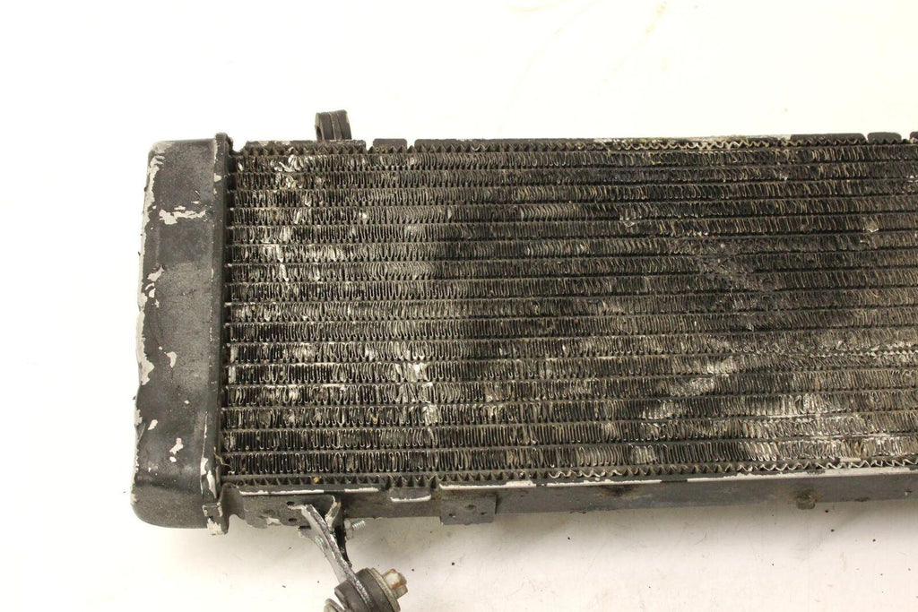 1995 Honda Cbr600f3 Engine Radiator Motor Cooler Cooling Radiater - Gold River Motorsports