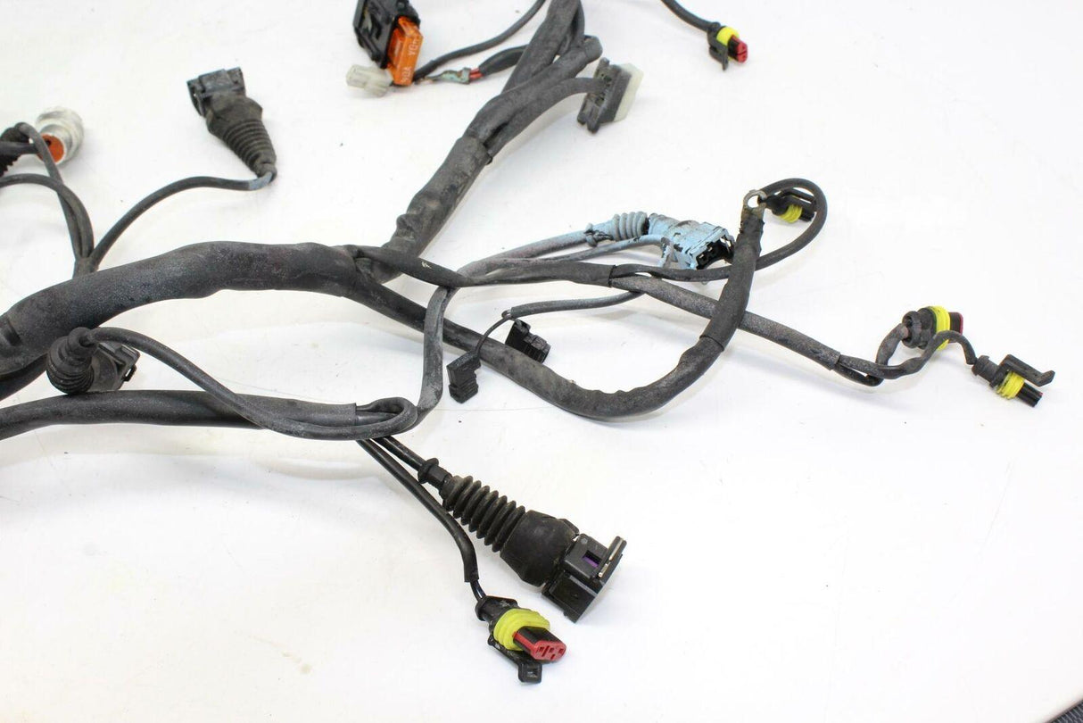 2000 Ducati St4 Main Engine Wiring Harness Motor Wire Loom Oem - Gold River Motorsports