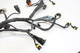 2000 Ducati St4 Main Engine Wiring Harness Motor Wire Loom Oem - Gold River Motorsports