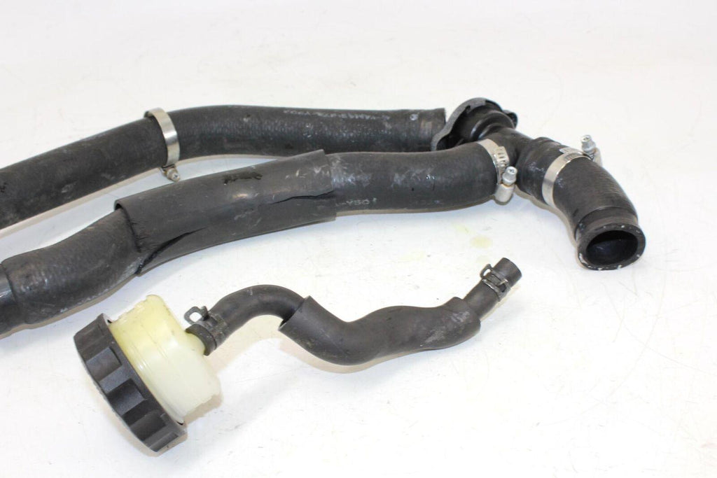 1995 Honda Cbr600f3 Radiator Hoses Engine Coolant Water Pipes Hose W/Reservoir - Gold River Motorsports