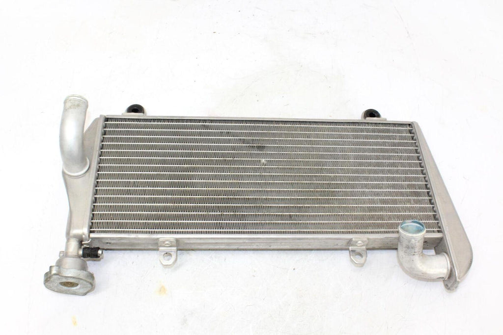 2012 Ducati 1199 Panigale S Tricolore Engine Radiator Motor Cooler Cooling - Gold River Motorsports