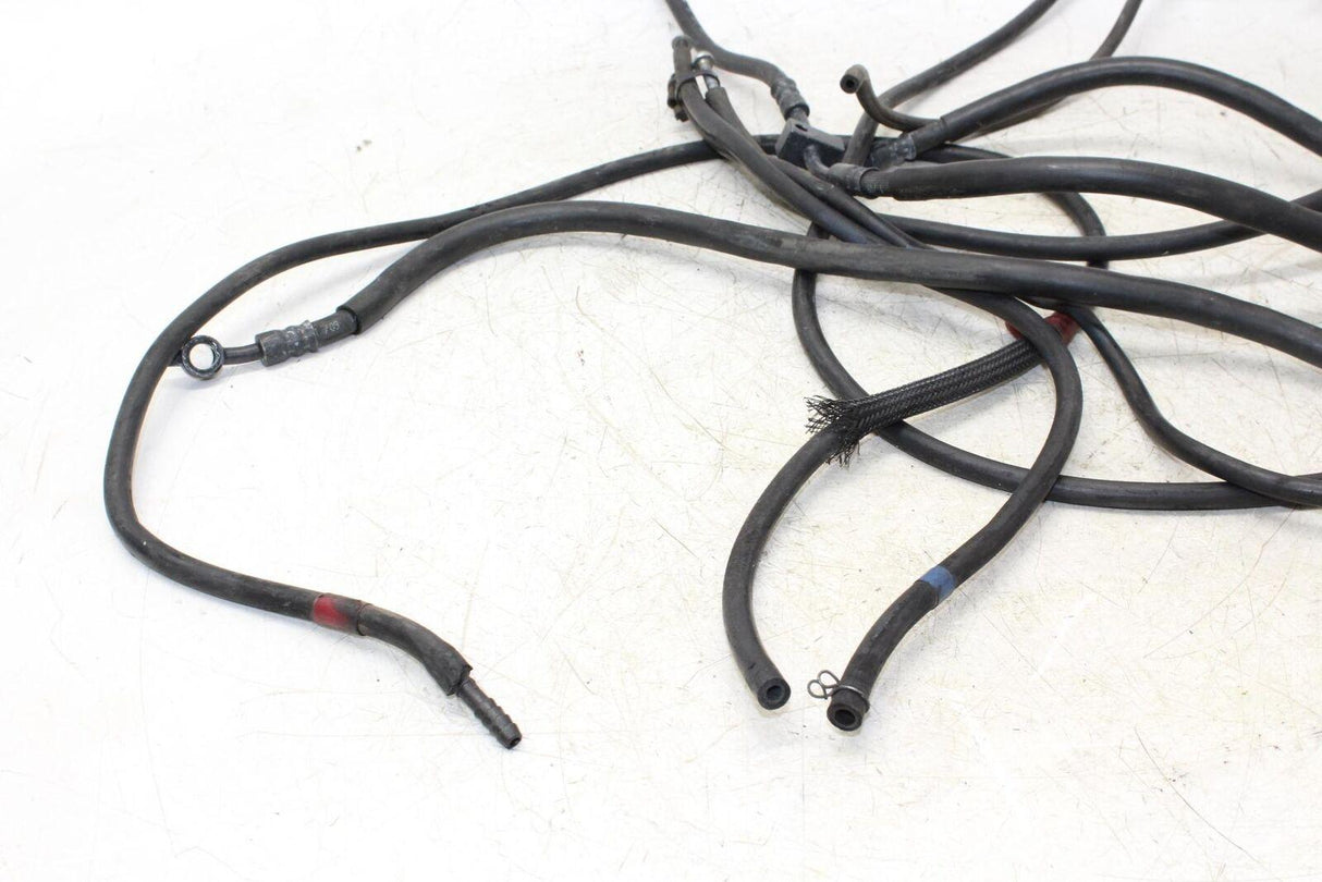 09-12 Kawasaki Ninja Zx6r Zx600r Front & Rear Brake Caliper Hoses Lines Oem - Gold River Motorsports