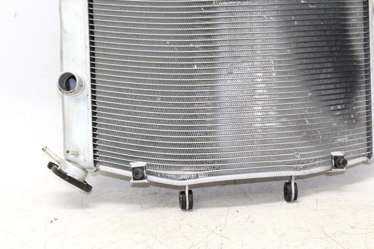 09-12 Kawasaki Ninja Zx6r Zx600r Engine Radiator Motor Cooler Cooling Radiater - Gold River Motorsports