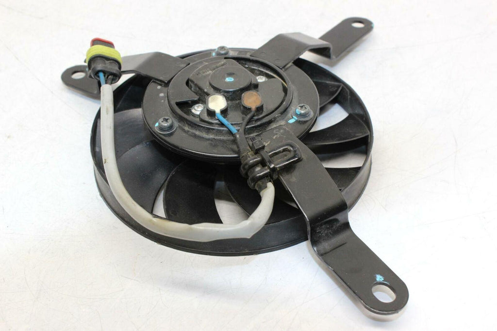 2015 Ducati Monster 821 Engine Radiator Cooling Fan Oem - Gold River Motorsports