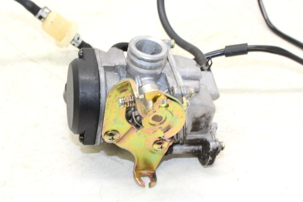 15 Znen 4 Stroke 60cc Carb Carburetor Oem - Gold River Motorsports