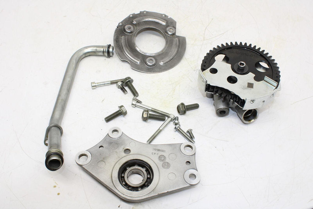 2017 Victory Octane Oil Pump Oem 5451819-01 / 5140183 Plate, Bearing Support - Gold River Motorsports