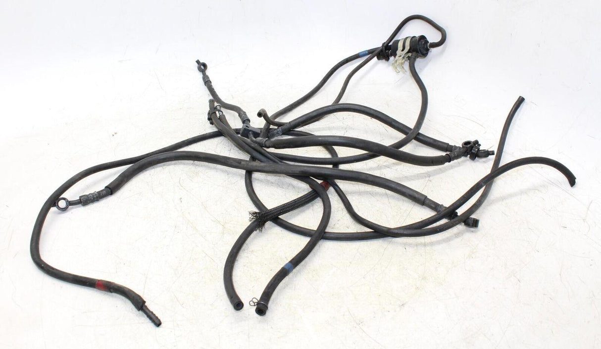 09-12 Kawasaki Ninja Zx6r Zx600r Front & Rear Brake Caliper Hoses Lines Oem - Gold River Motorsports