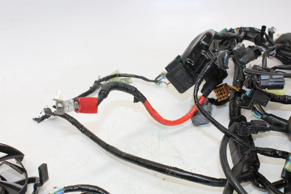 2015 Honda Cbr300r Main Engine Wiring Harness Motor Wire Loom - Gold River Motorsports