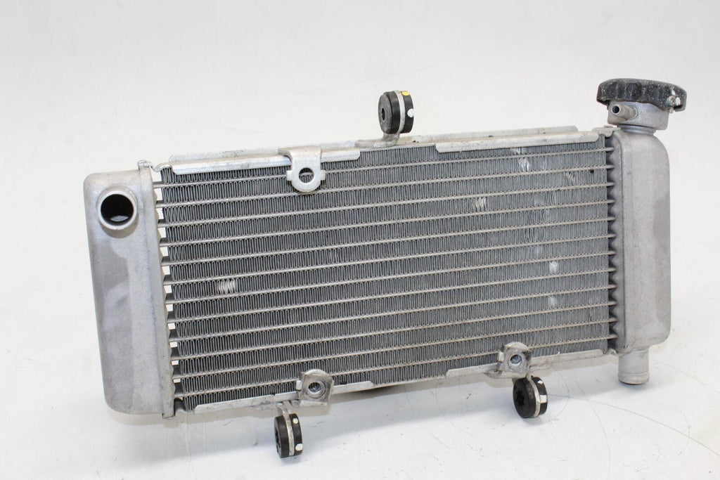 2011-2013 Honda Cbr250r Engine Radiator Motor Cooler Cooling Radiater Oem - Gold River Motorsports