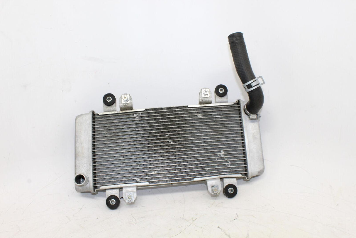 2013-2016 Kawasaki Ninja 300 Ex300a Engine Radiator Motor Cooler Cooling Radiate - Gold River Motorsports