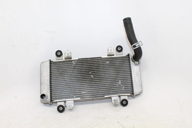 2013-2016 Kawasaki Ninja 300 Ex300a Engine Radiator Motor Cooler Cooling Radiate - Gold River Motorsports