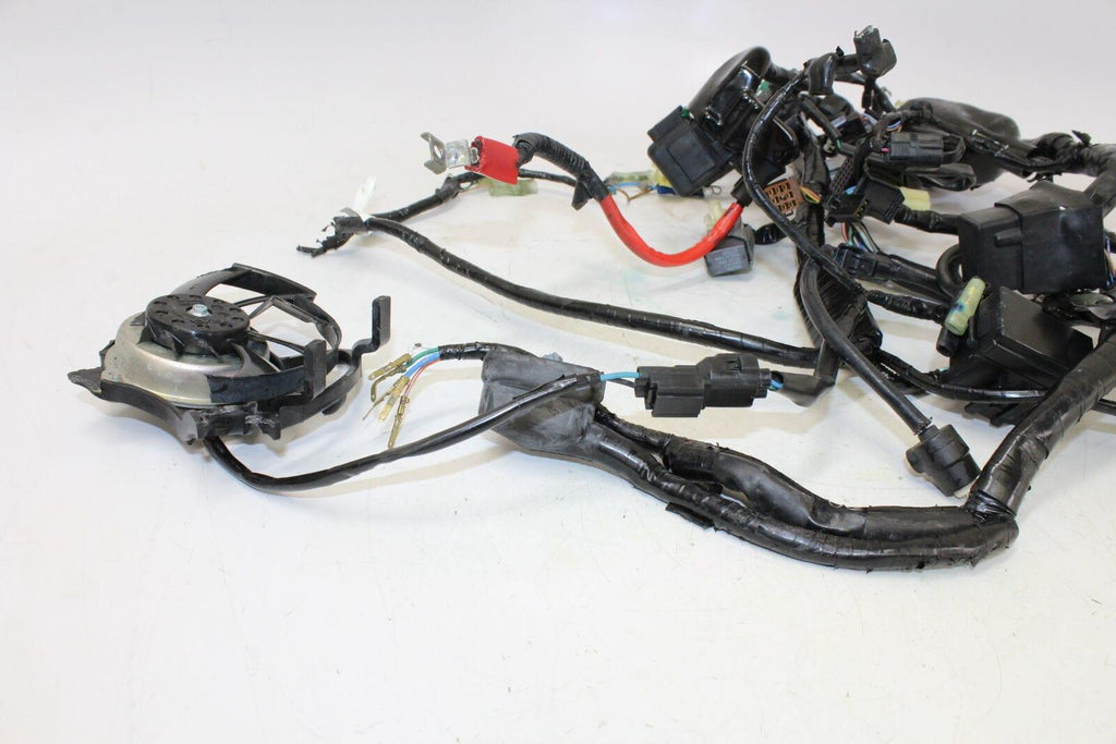 2015 Honda Cbr300r Main Engine Wiring Harness Motor Wire Loom - Gold River Motorsports