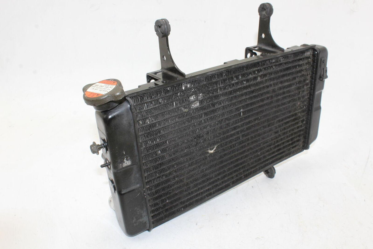 2005 Suzuki Vstrom 1000 Dl1000 Engine Radiator Motor Cooler Cooling Radiater Oem - Gold River Motorsports