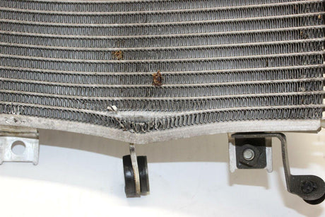 2005-06 Kawasaki Ninja Zx6r Zx636c Engine Radiator Motor Cooler Cooling Radiater - Gold River Motorsports