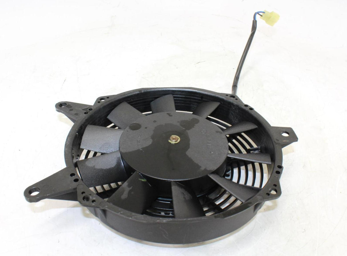 1999 Triumph Legend Tt Engine Radiator Cooling Fan - Gold River Motorsports
