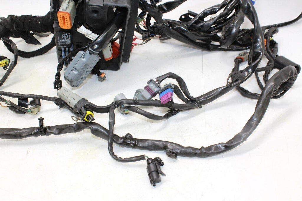 2010 Harley-Davidson Dyna Street Bob Fxdb Main Engine Wiring Harness Motor Wire - Gold River Motorsports