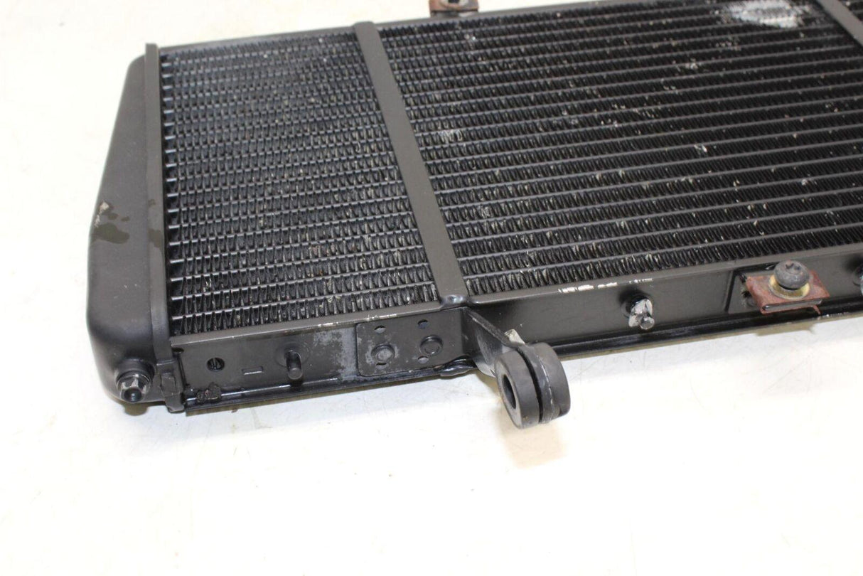 05-07 Triumph Sprint St Engine Radiator Motor Cooler Cooling Radiater Oem - Gold River Motorsports