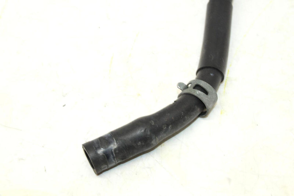 2002 Yamaha Yzf R6 Rear Brake Master Fluid Reservoir Tank Bottle - Gold River Motorsports