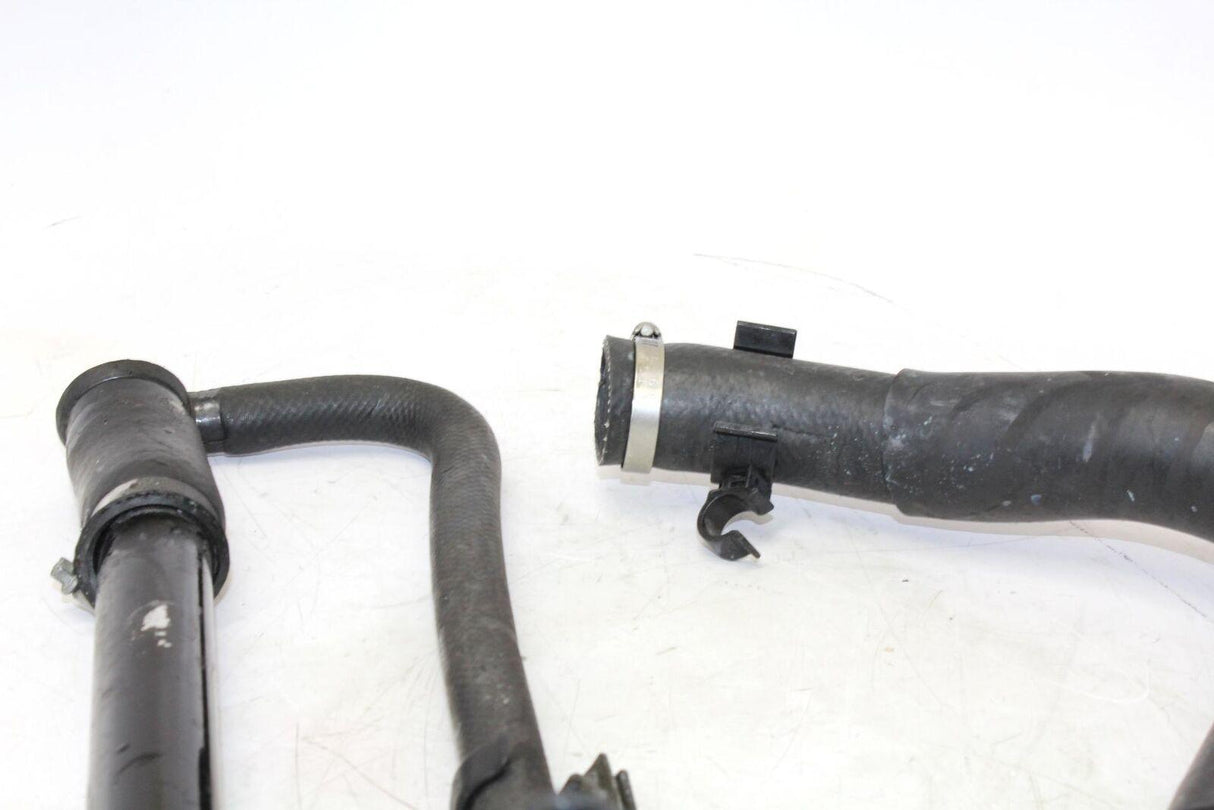 2002 Kawasaki Ninja Zx12r Zx1200b Hoses - Gold River Motorsports