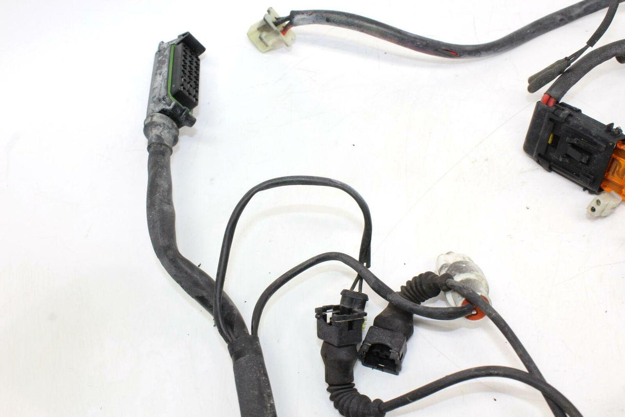 2000 Ducati St4 Main Engine Wiring Harness Motor Wire Loom Oem - Gold River Motorsports