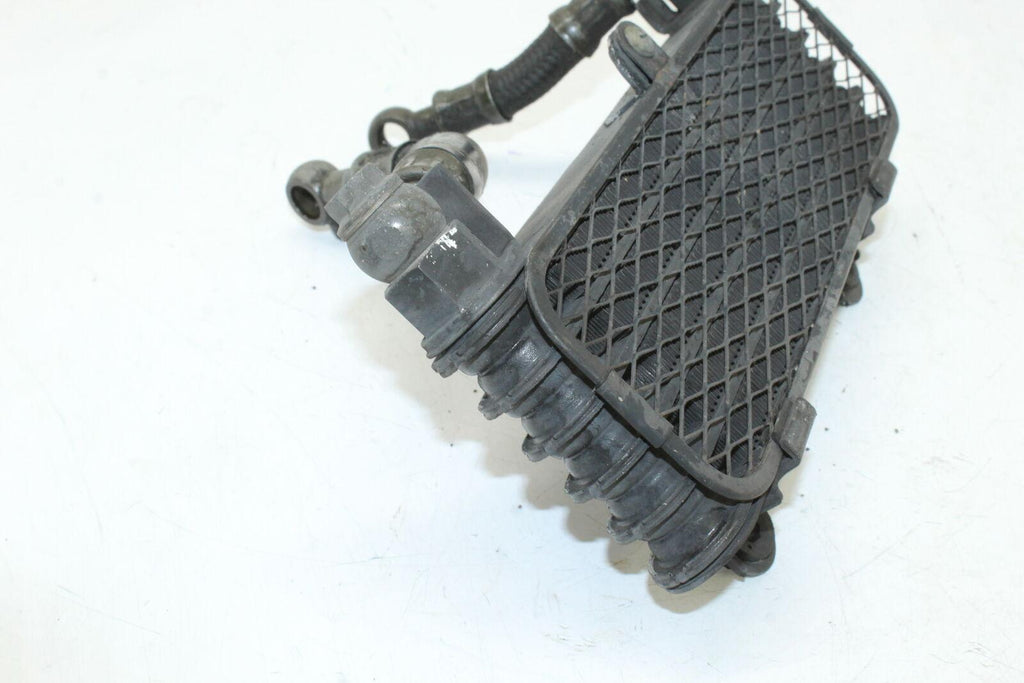 02-09 Suzuki Vstrom 1000 Dl1000 Engine Motor Oil Cooler Oem - Gold River Motorsports