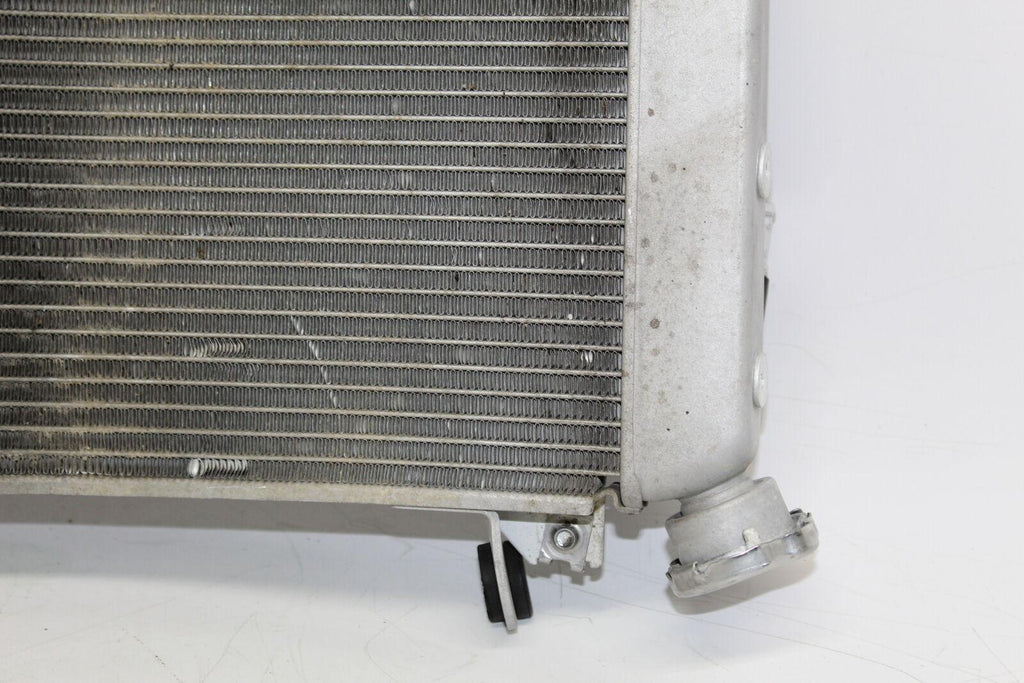 2012 Yamaha Yzf R1 World Gp 50Th Anniversary Engine Radiator Motor Cooler - Gold River Motorsports