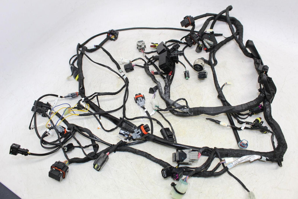 2015 Ducati 899 Panigale Main Engine Wiring Harness Motor Wire Loom - Gold River Motorsports