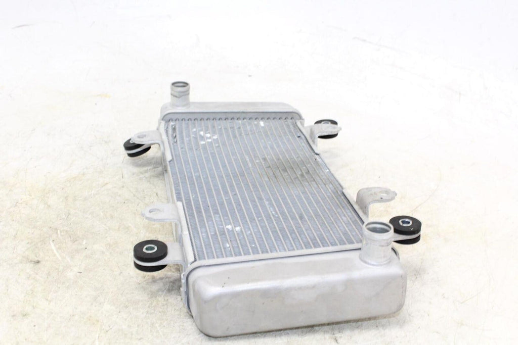 2014 Kawasaki Ninja 300 Ex300A Engine Radiator Motor Cooler Cooling Radiater - Gold River Motorsports
