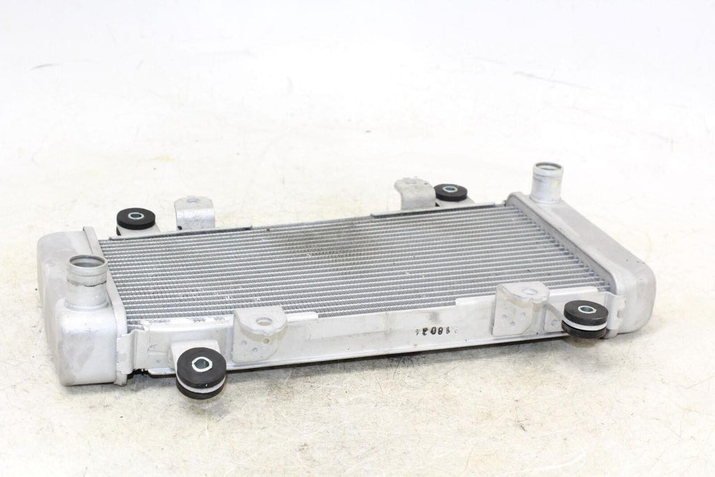 2014 Kawasaki Ninja 300 Ex300A Engine Radiator Motor Cooler Cooling Radiater - Gold River Motorsports