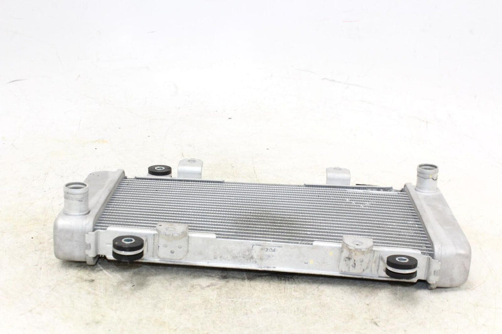 2014 Kawasaki Ninja 300 Ex300A Engine Radiator Motor Cooler Cooling Radiater - Gold River Motorsports