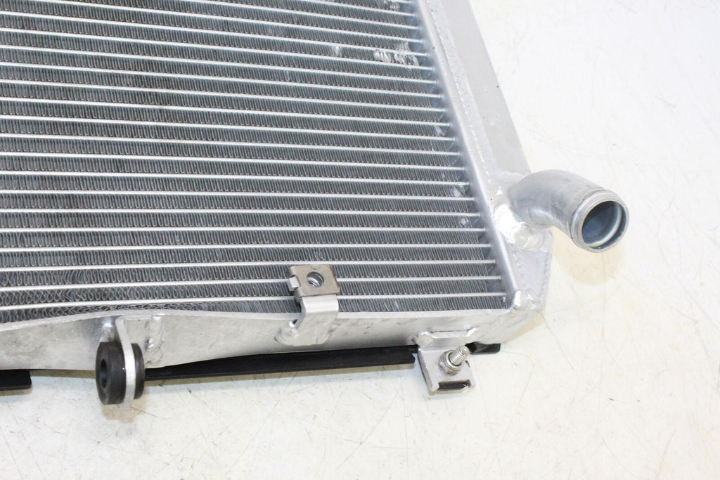 2019 Kawasaki Z900 Engine Radiator Motor Cooler Cooling Radiater - Gold River Motorsports