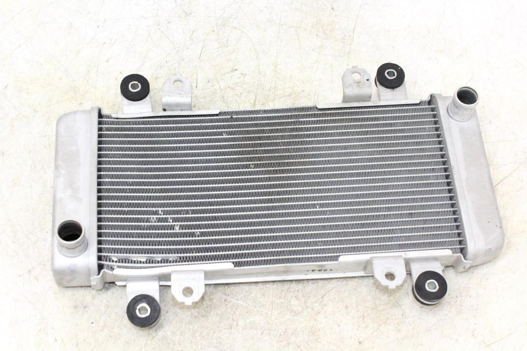 2014 Kawasaki Ninja 300 Ex300A Engine Radiator Motor Cooler Cooling Radiater - Gold River Motorsports