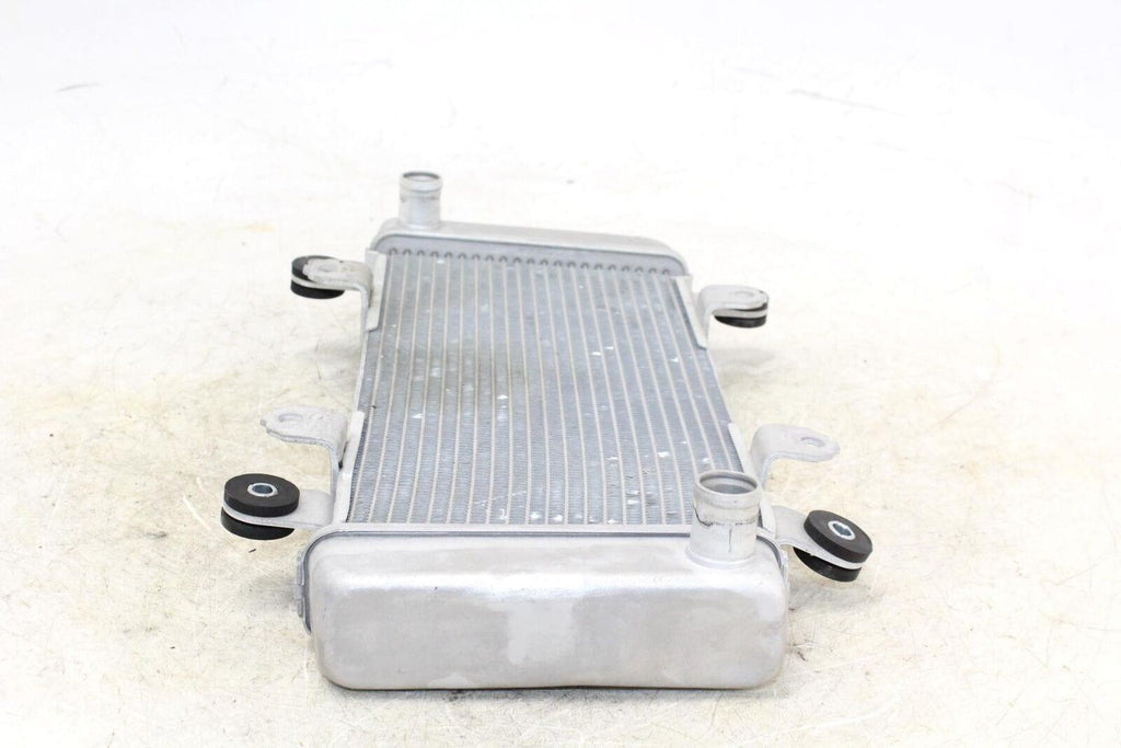 2014 Kawasaki Ninja 300 Ex300A Engine Radiator Motor Cooler Cooling Radiater - Gold River Motorsports